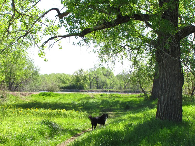20100523_GreenBelt 016